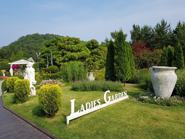  프로필 사진