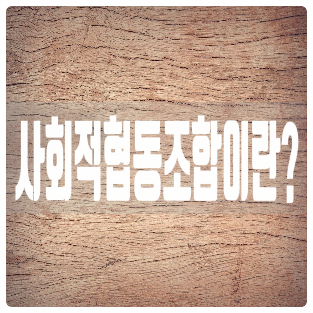  사회적협동조합이란?