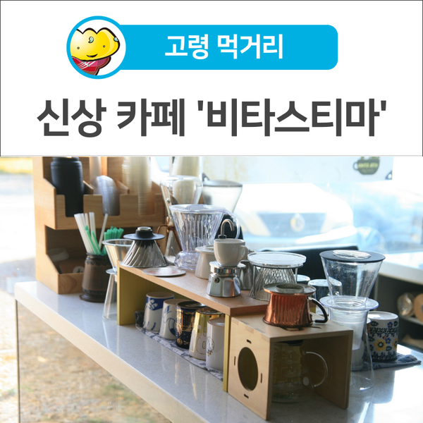 비타스티마 사진 1