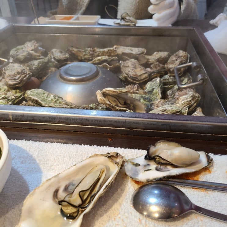  사랑니 발치 후 치료 중인 요즘의 먹일기
