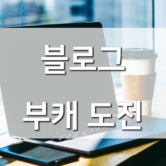  블로그 새로 키우기 프로젝트 도전 중!