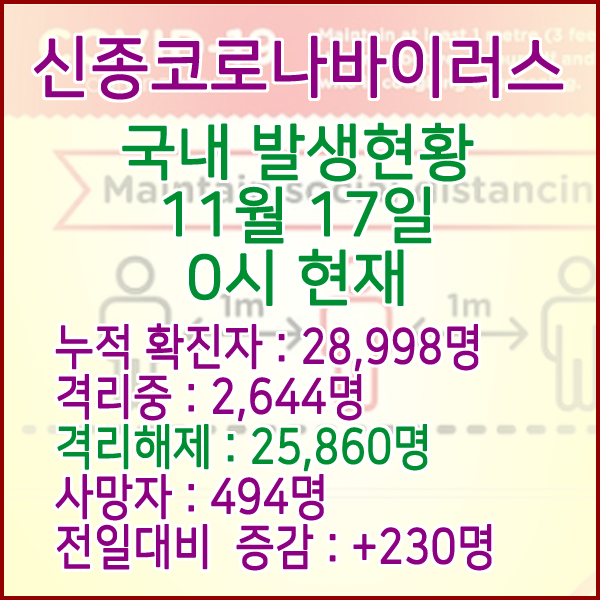  코로나19(코로나바이러스) 11월 17일 0시 국내(해외포함) 발병 28,998명 / 25,860명 완치 격리해제 / 사망자 494명