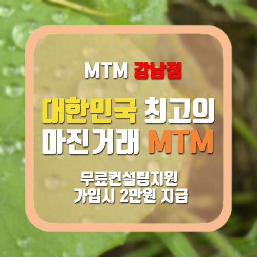  FXbroker FX플레이옵션 jj에셋 BNB MTM MTMVIP GSBM 바이너리옵션 FX시티 코리아트레이딩 에코트레이딩 옵션트레이더 코인리더 에그빗  갤럭시365 마진케어