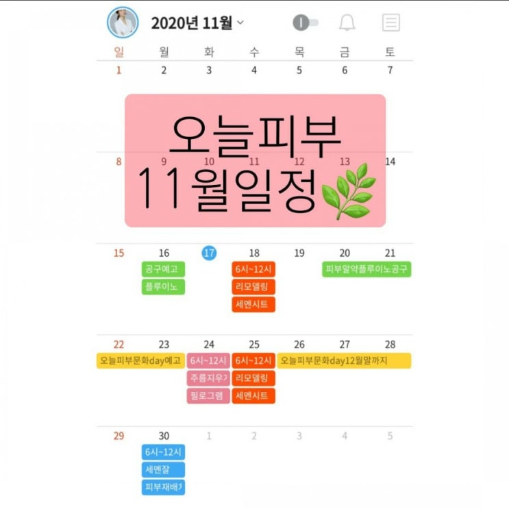  세멘시트 7차 11월 일정 및 공구예고!