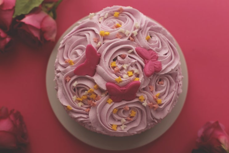  내 생일케이크로는 떡케이크 부탁해요~