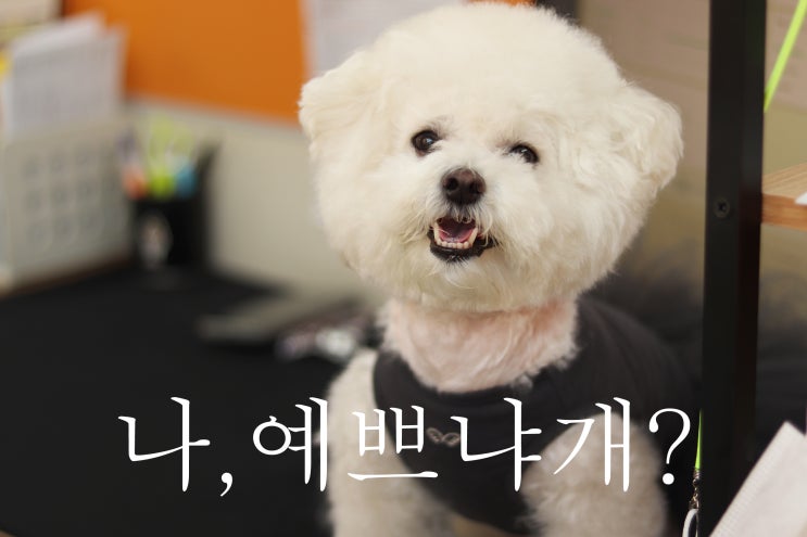  바른케어 바스몽의 마음을 인터뷰하다