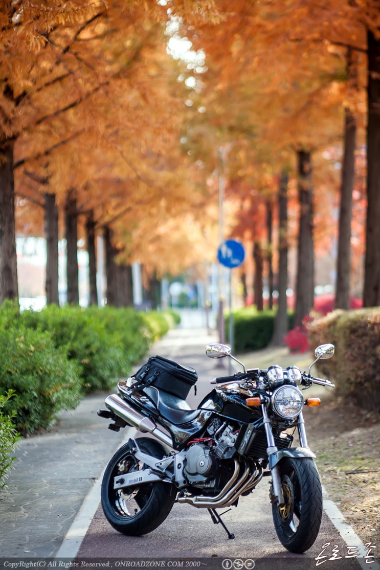  2020.11.13 Memories in fall... HONDA Hornet250 (혼다 호넷250 그냥 창원에서 사진들)