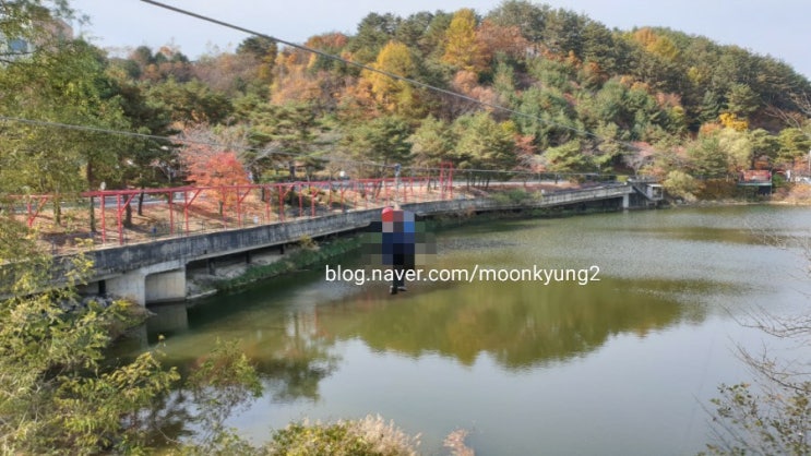  [횡성여행] 푸핫! 재밌게 타는팁! 웰리힐리파크 패키지 무료 플라잉라인