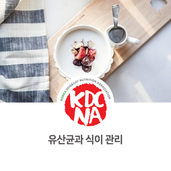  [전주 군산 대전 펫푸드 정보] 한국반려동물영양협회 이정숙 펫영양사 : 강아지 고양이 유산균과 자일리톨_671