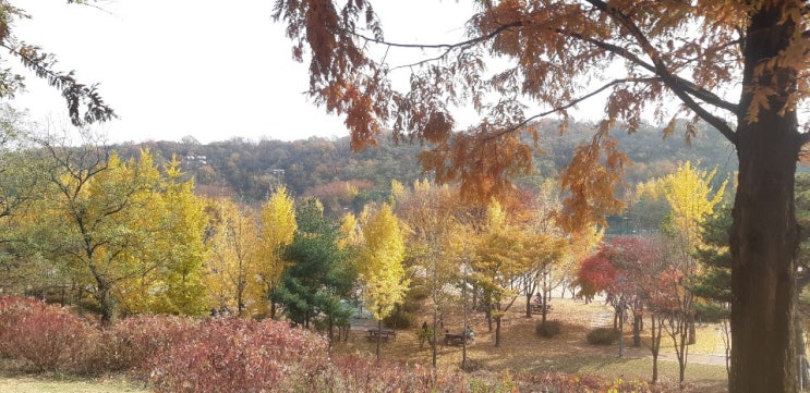  내가 사랑 하는 당신은    -도 종환