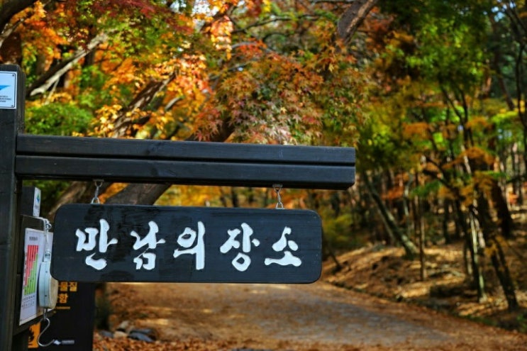 삶이 고달파도 인생의 벗하나 있다면 삶이 고달파도 인생의 벗하나 있다면