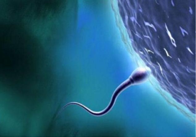  비혼모는 아이 낳을 권리 없나, 사유리가 한국에 던진 질문