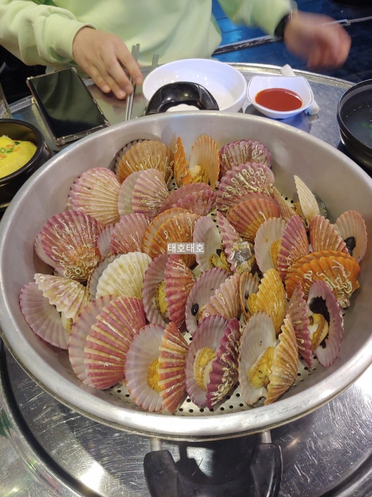  광주 맛집 똥개 굴찜 가리비찜