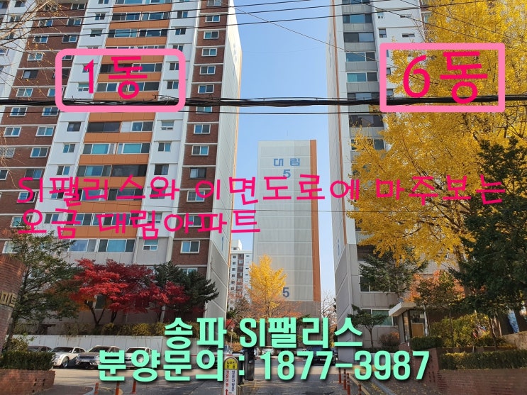 송파 에스아이팰리스 송파(SI팰리스) 50이하 아파트 임장(현장답사)