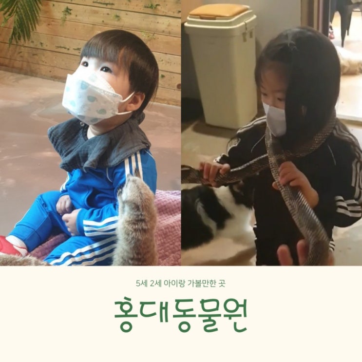 서울 실내 동물원 홍대동물원 (주차/5세 2세 아이랑 갈만한 곳,홍대 카페)