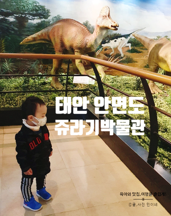 태안 안면도 쥬라기 박물관 공룡화석부터 공룡모형 가득!