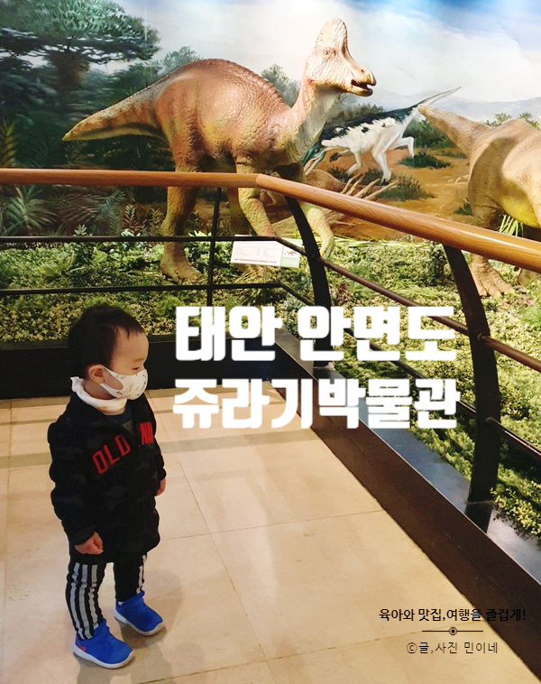  태안 안면도 쥬라기 박물관 공룡화석부터 공룡모형 가득!