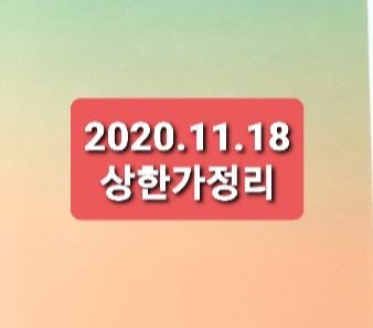 2020.11.18 상한가정리