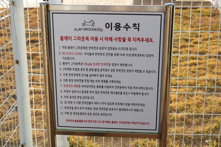 사진 3