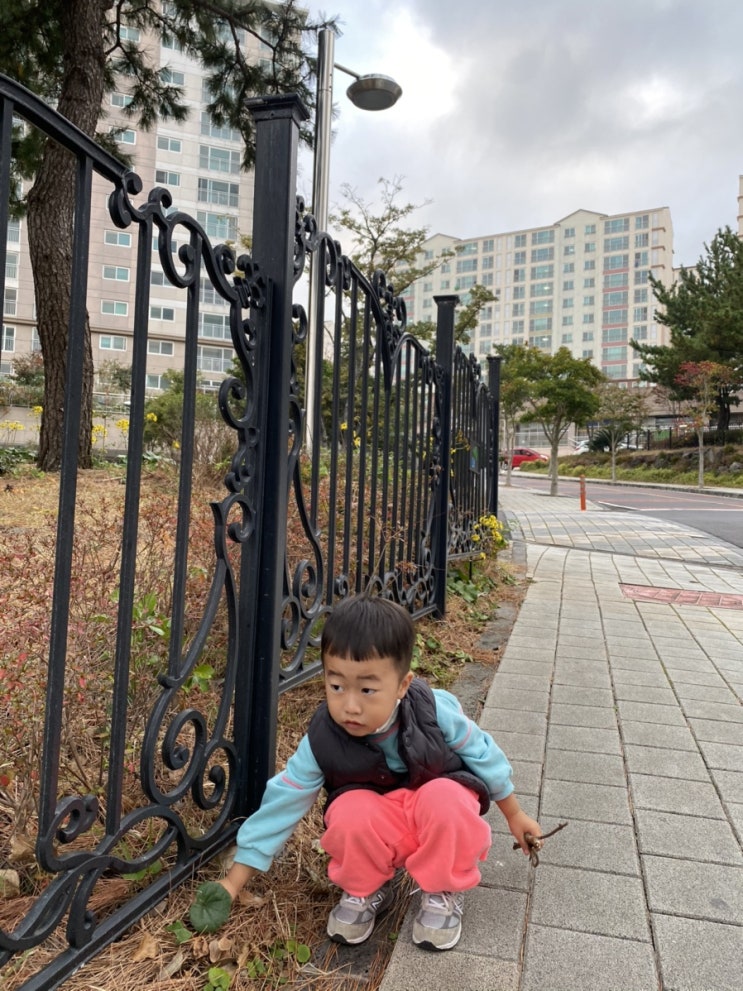  우리 나무 등원룩.(3)