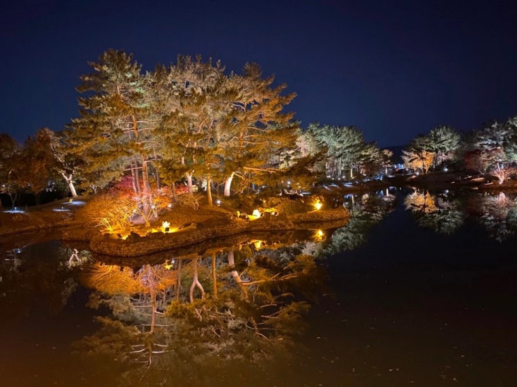  경주 여행 동궁과월지 (안압지) 야경 정말 감동