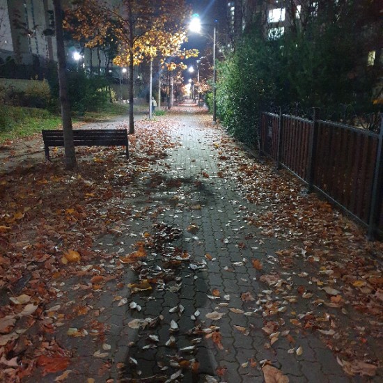  오후 7시40분 늦은 퇴근길 정경