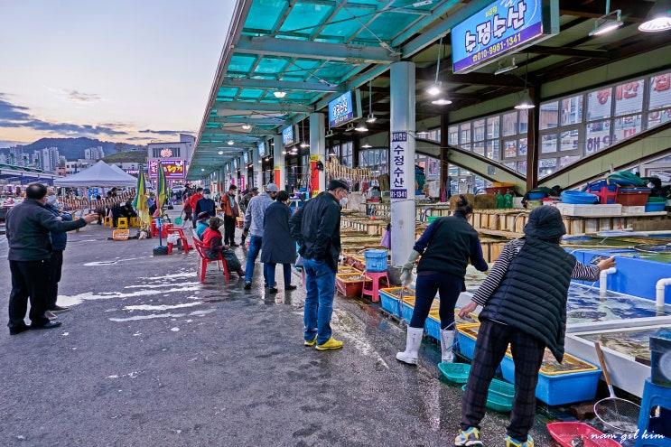 주말여행 동해시 가볼만한 곳, 묵호항 활어판매센터