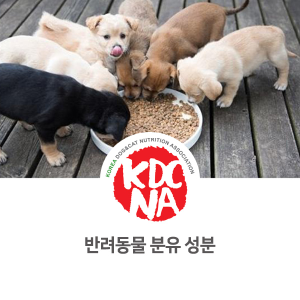 [인천 수원 부평 화성 안산 펫푸드 자격증 ] 강아지 고양이 분유 성분_652