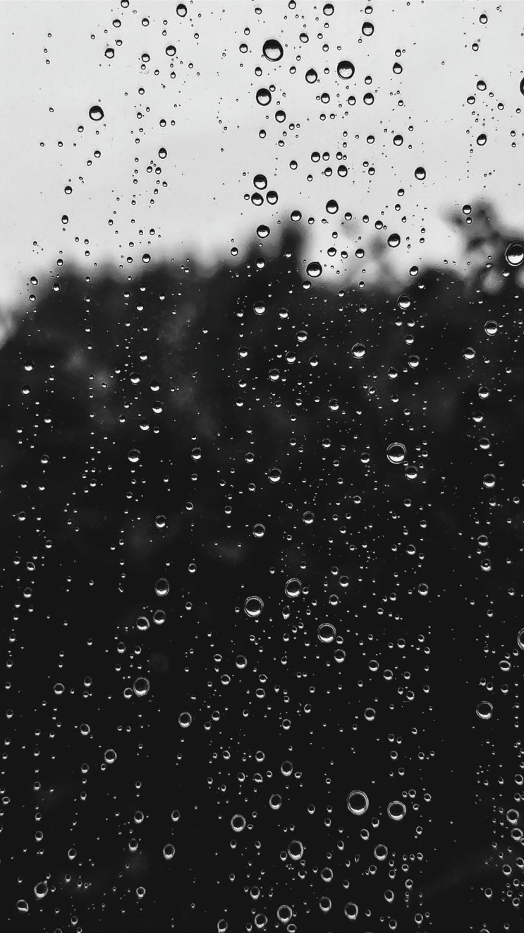 왜 비오는 날에는 우울할까?