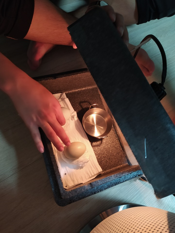 횡성오일장에서 사온 청란, 집에서 병아리로 부화시키기 횡성오일장에서 사온 청란, 집에서 병아리로 부화시키기