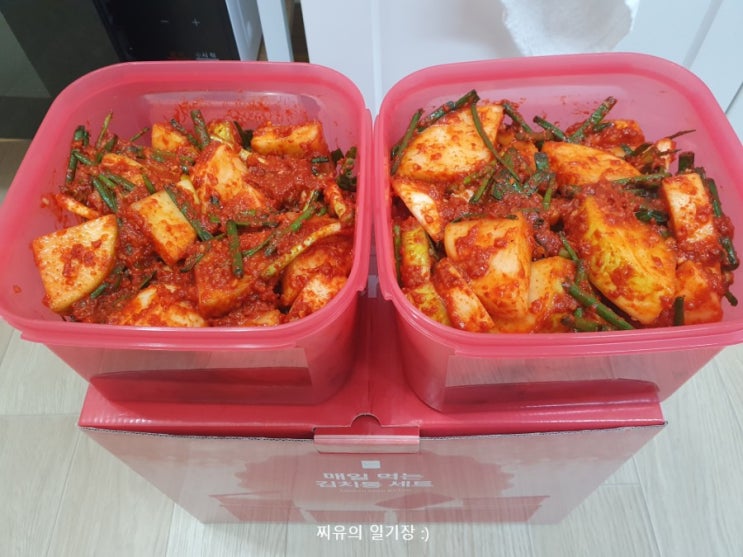 김치 신선하게 보관하기! 내돈내산 타파웨어 김치통 후기