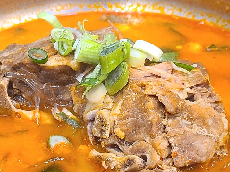  [세종시 아름동 맛집] 얼큰한 김치찌개 푸짐한 육개장이 매력적인 '도담본가' 내돈내산 후기
