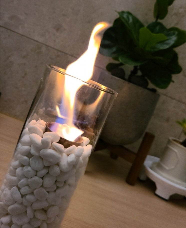 요즘난리난  불멍에탄올 유리세트 멍때리기효과와부작용