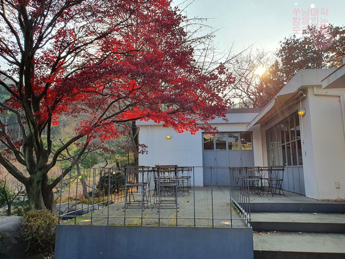  가평 까사32 가까운 뷰멋집 그레이트 풀그라운드 카페