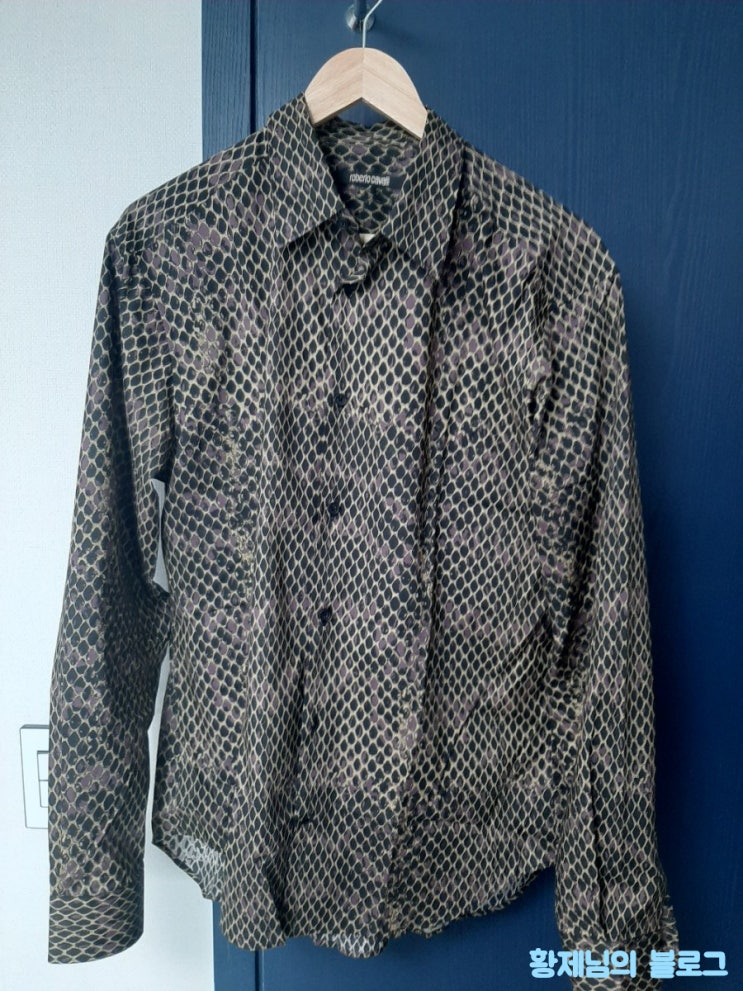  Roberto Cavalli 셔츠 리뷰