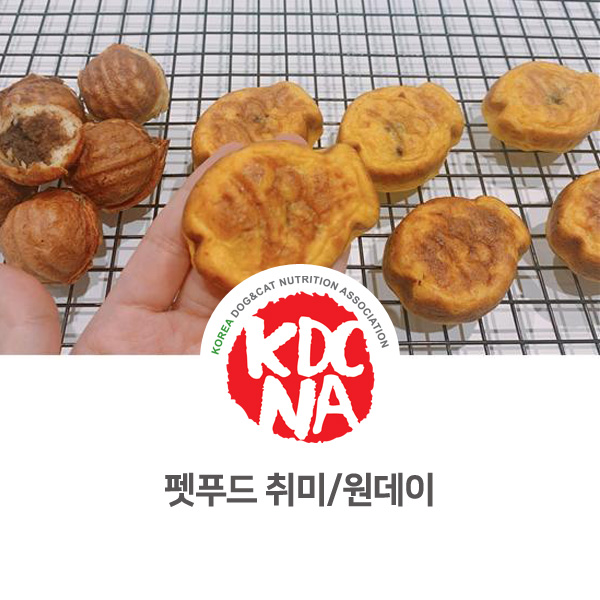  [펫푸드 원데이클래스] 전주 반려밥상 펫베이커리 취미반 교육 후기_658