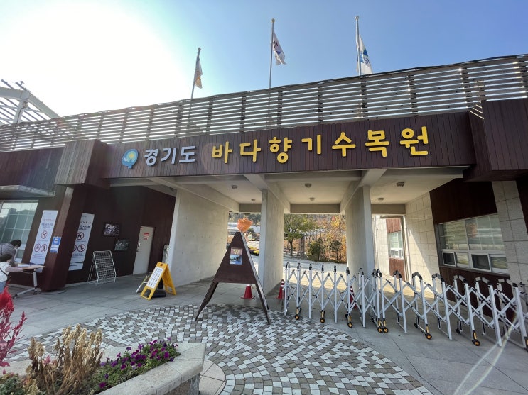  산책하기 좋은 안산 대부도 바다향기수목원