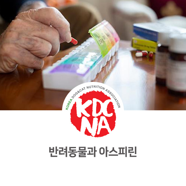  [강아지 고양이 펫푸드] 전주 반려밥상과 함께하는 반려동물과 아스피린 주의점_659