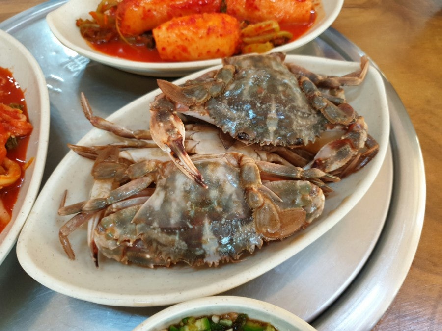 고향맛 사진 5