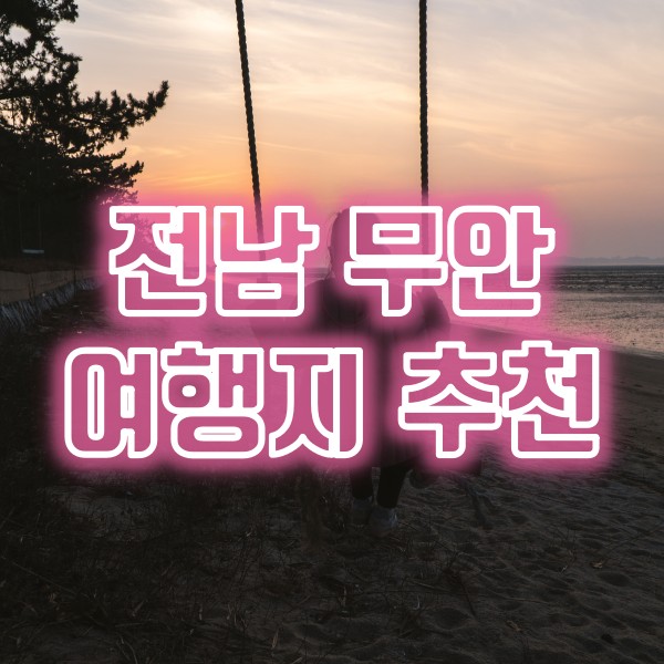  전남 무안 여행지 추천(무안향교 은행나무, 무안 5일장, 조금나루해수욕장 일몰, 무안낙지골목 맛집)