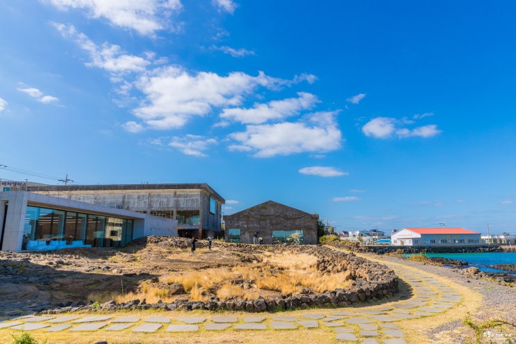  제주 동쪽 카페 감각적인 분위기 공백