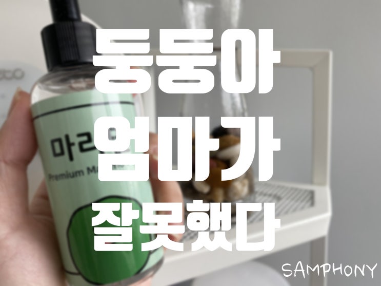  3년만에 처음 마리모에게 밥 준 사연 ( feat. 마리밀 )