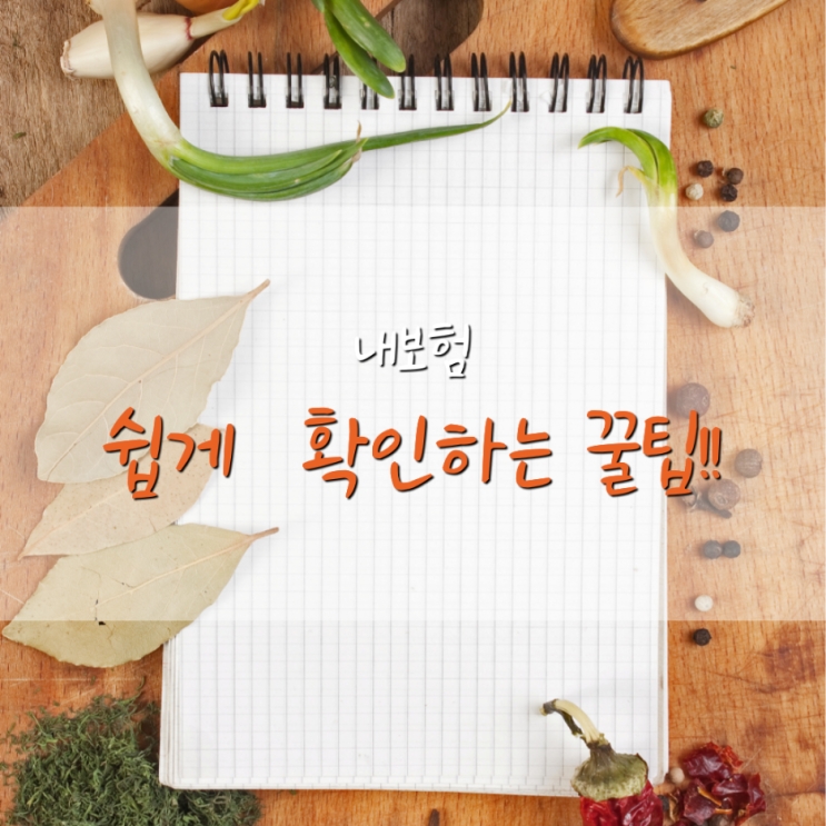  내보험 쉽게 확인하는 꿀팁!!