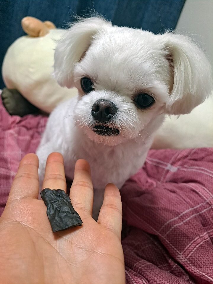  강아지수제간식 멍식당 기호성 좋은 건강한 간식 추천