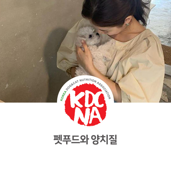  [수원 안양 안산 펫푸드 자격증] 연예인 강아지 수지 반려견 데지_655