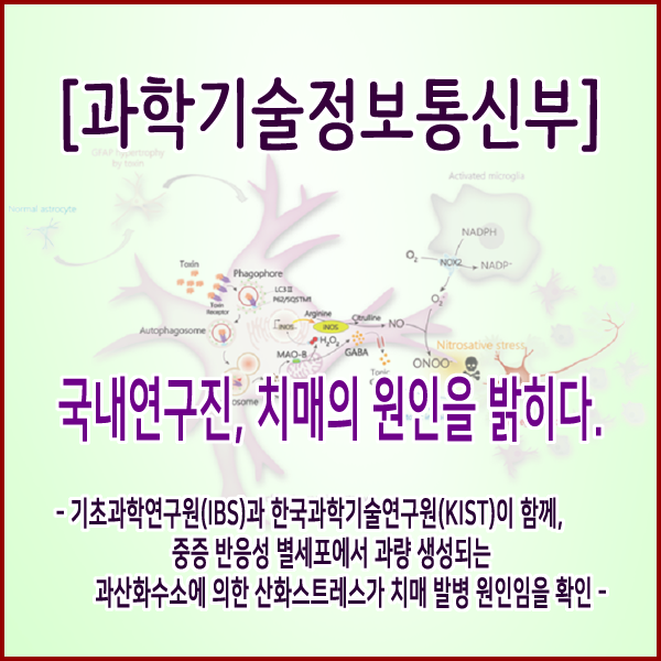  [과학기술정보통신부] 국내연구진, 치매의 원인을 밝히다.
