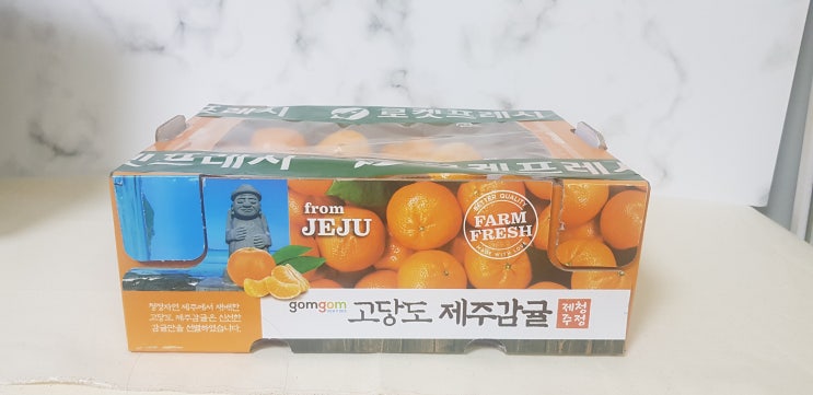 곰곰 고당도 제주감귤 프롬제주 노지감귤 겨울제철과일