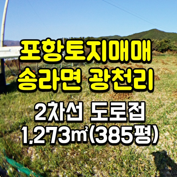 포항부동산 농림지역 토지매매 보경사 가기 전  2차선 도로 접한 밭 1,273(385평)