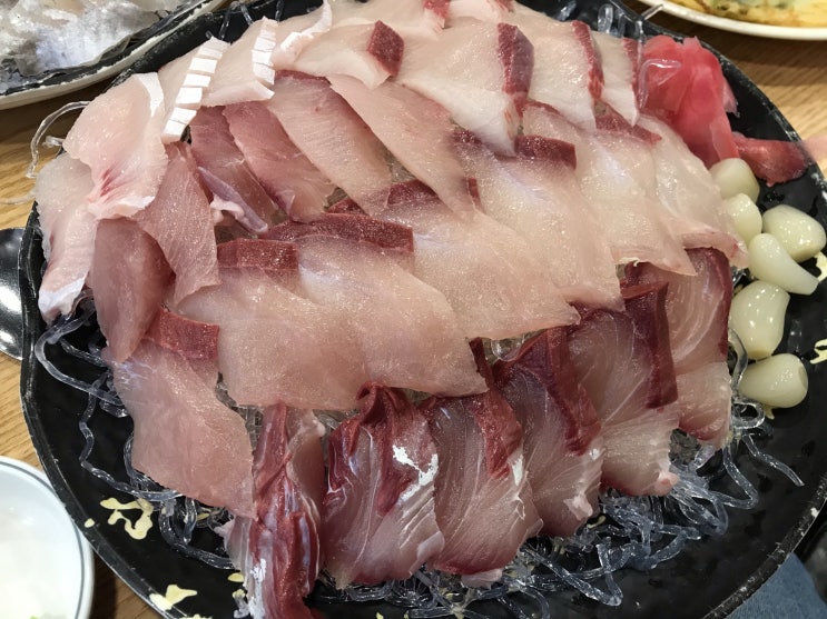  [노량진] 오징어야 : 역시 회는 노량진?! 가성비 오지는 노량진횟집