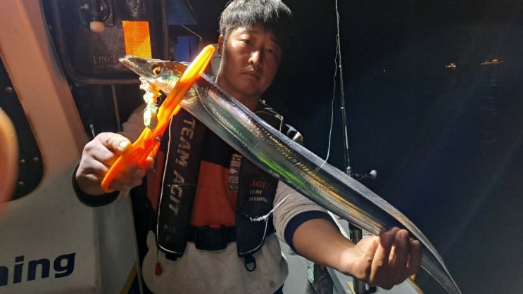  거제도선상낚시 - 야간 갈치낚시